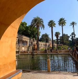 Meet your Posher, Sophia